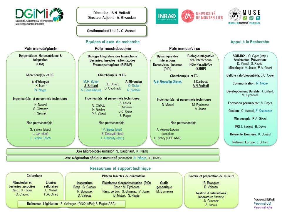 Organigramme DGIMI 2022